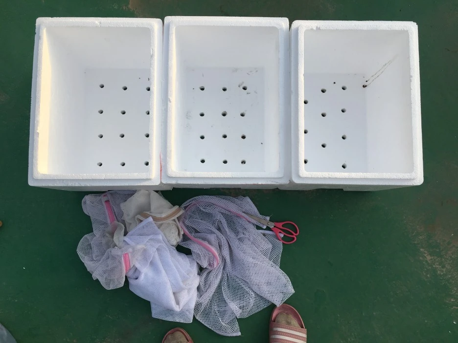 20210331_0446.JPG?type=w1