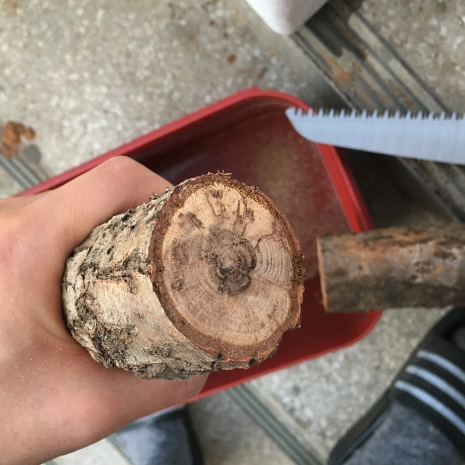 20210324_0278.JPG?type=w1