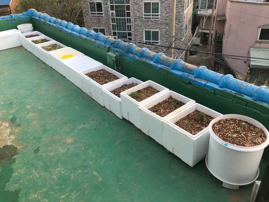 20210425_1063.JPG?type=w1