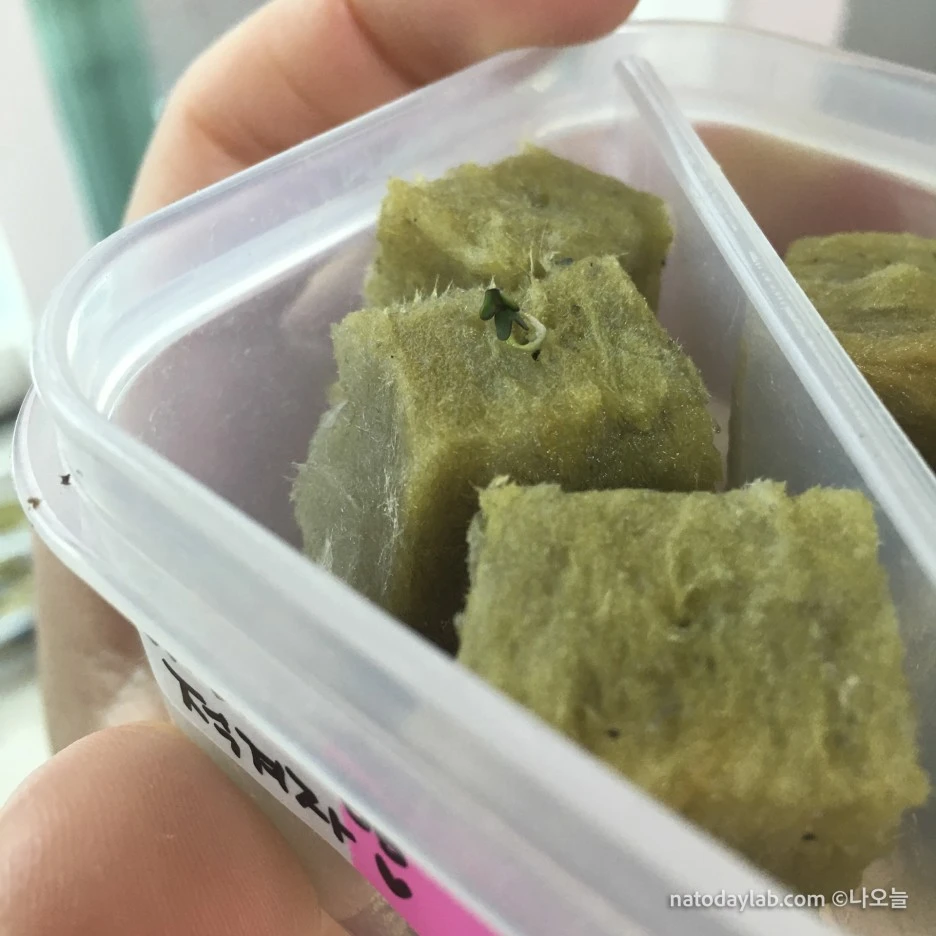 20210320--%EB%82%A0%EC%A7%9C-9.jpg?type=w1