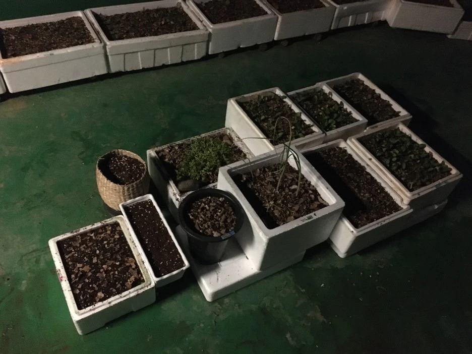 20210424_1034.JPG?type=w1