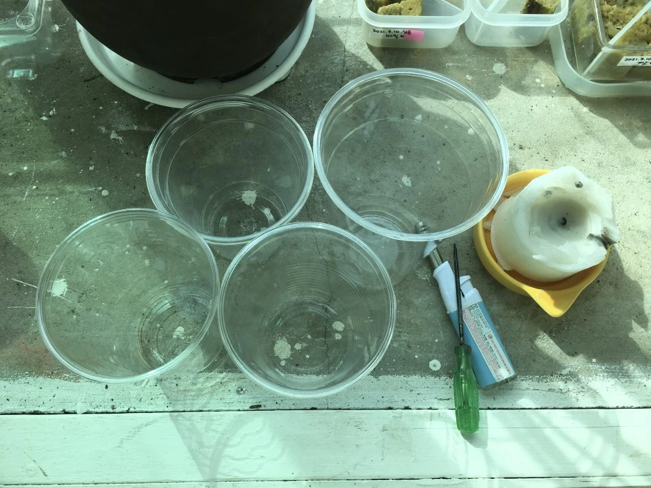 20210401_0452.JPG?type=w1