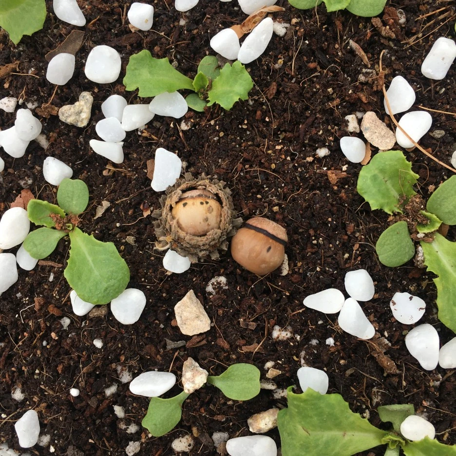 20210510_1345.JPG?type=w1