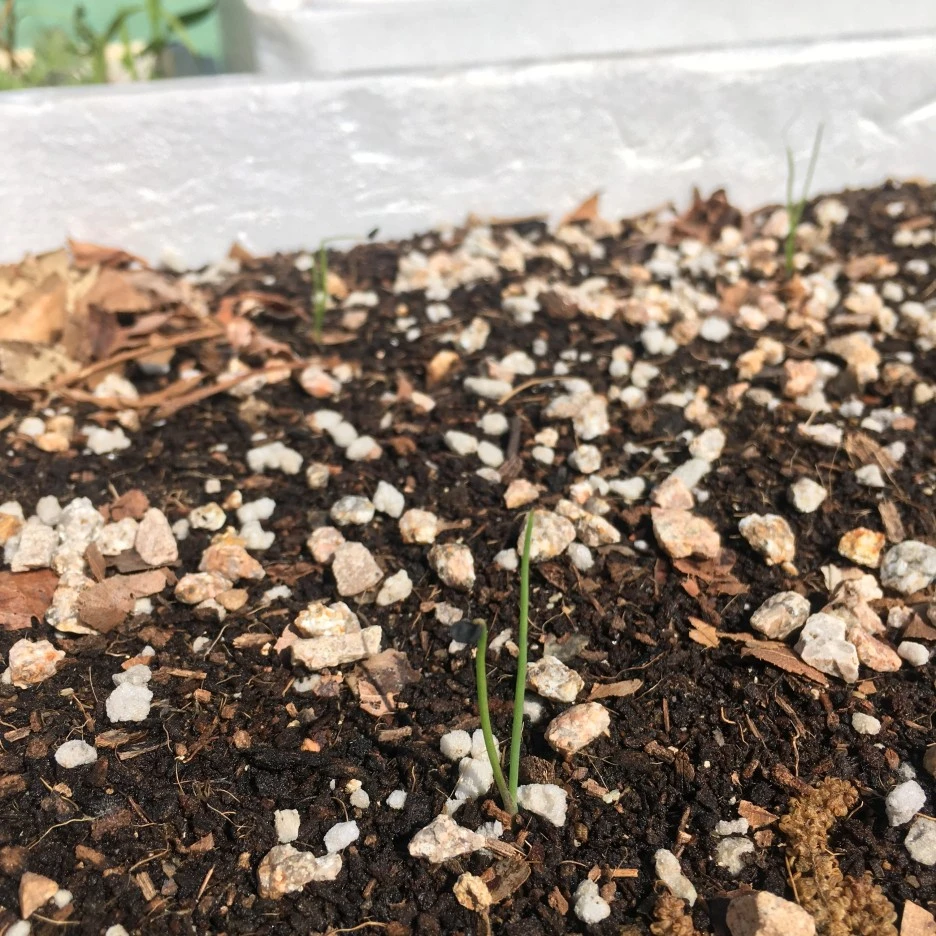 IMG_1001.JPG?type=w1