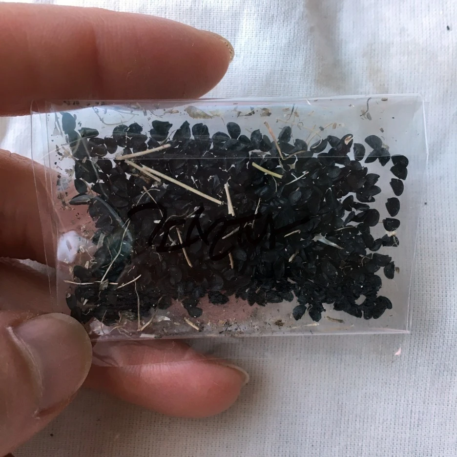 SE-362e5058-97e7-4772-b23d-87e43989e246.jpg?type=w1