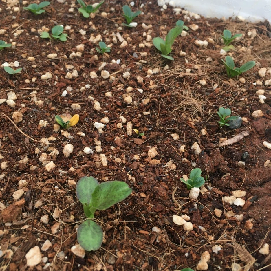 20210422_0951.JPG?type=w1