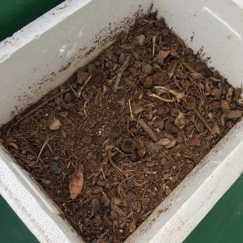 20210507_0113.JPG?type=w1