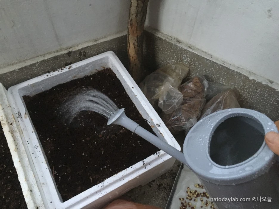 20210321--%EB%82%A0%EC%A7%9C-19.jpg?type=w1