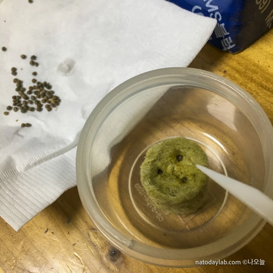 20210215--5.jpg?type=w1