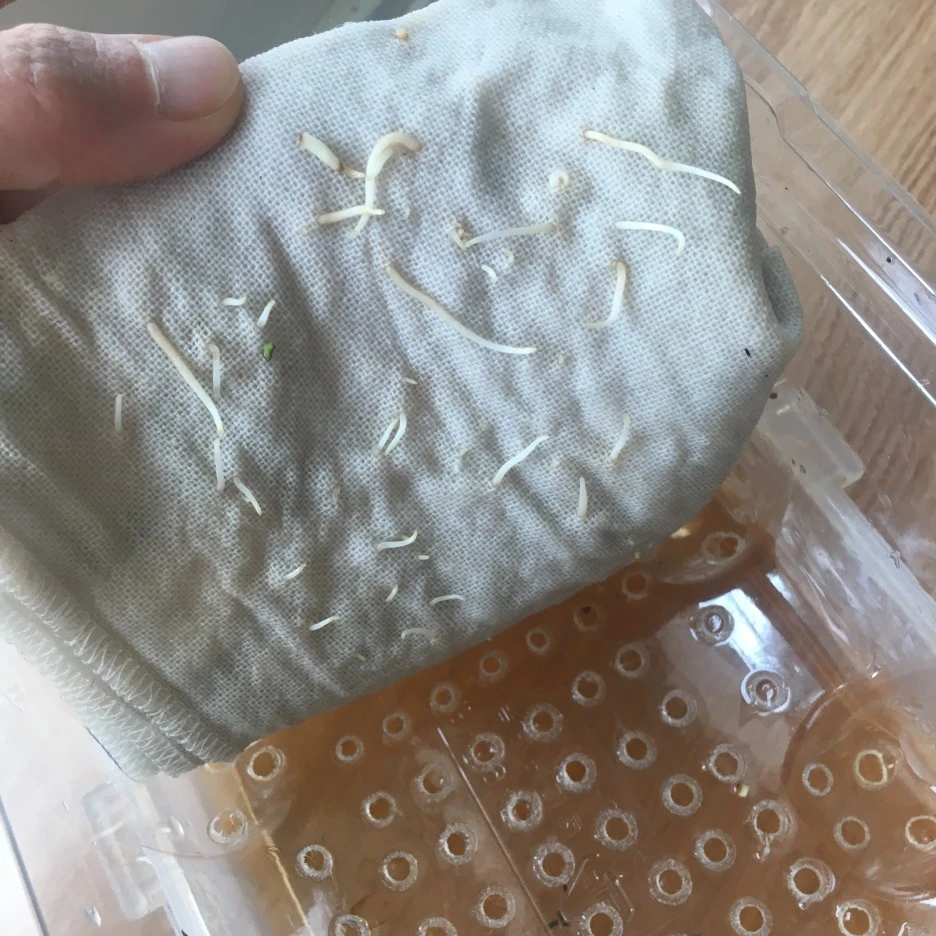 20210422_0932.JPG?type=w1