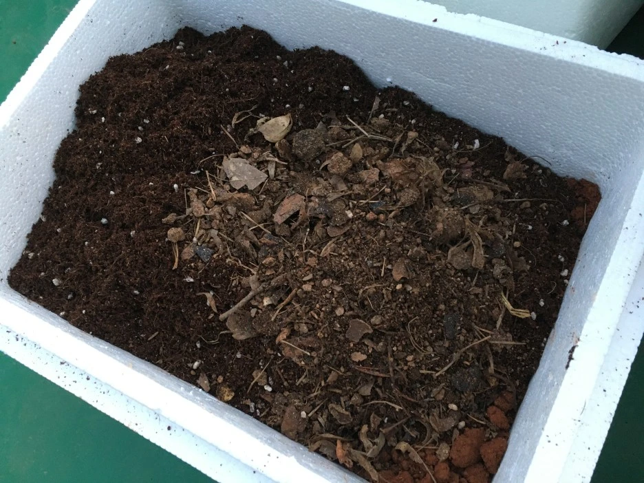 20210512_1444.JPG?type=w1