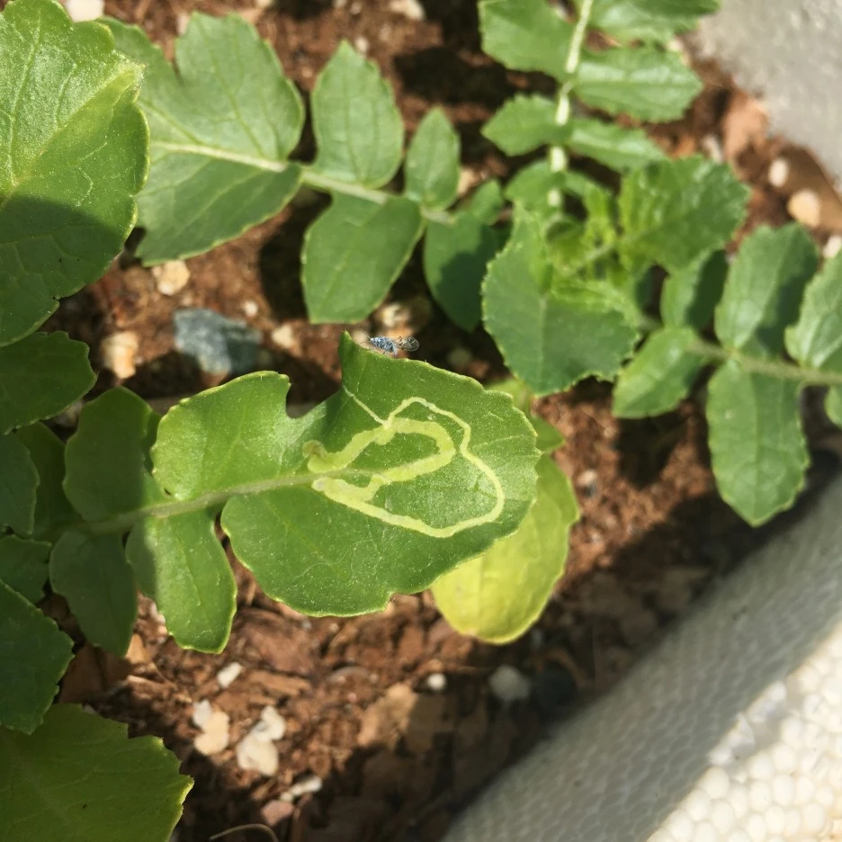 20210511_1363.JPG?type=w1