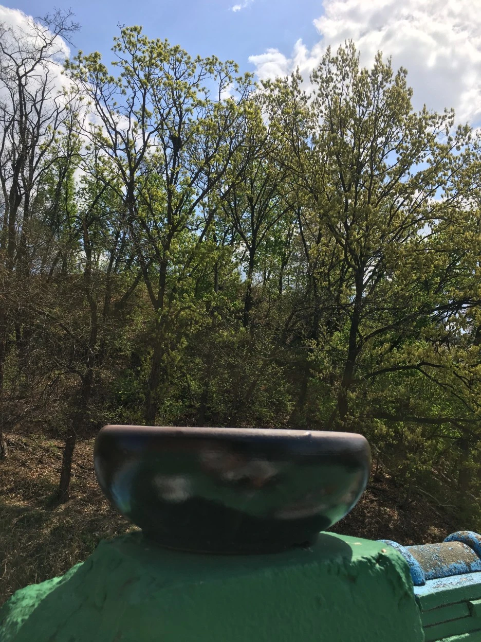 20210409_0692.JPG?type=w1