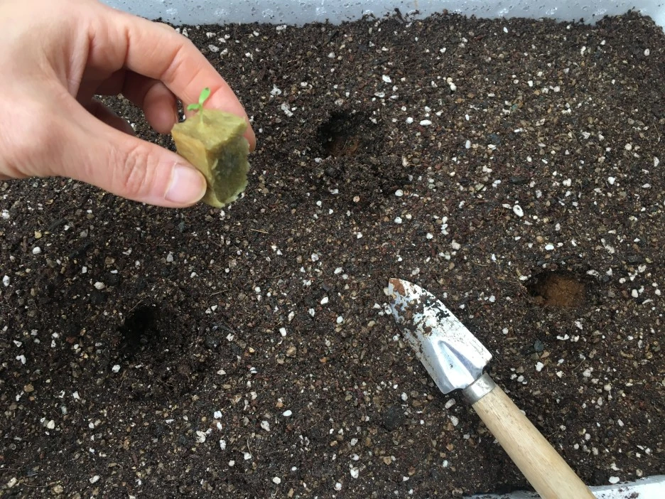 20210327_0370.JPG?type=w1