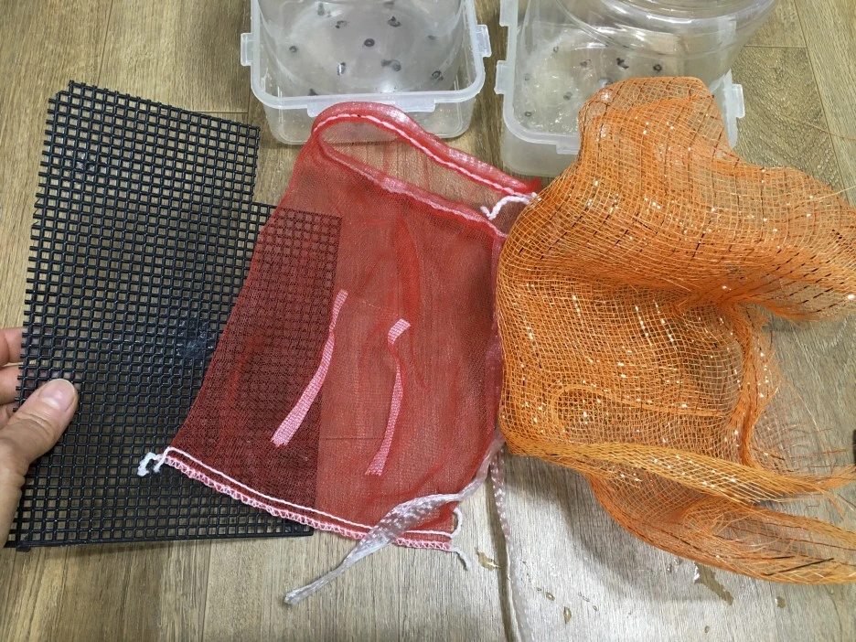 20210309_0105.jpg?type=w1