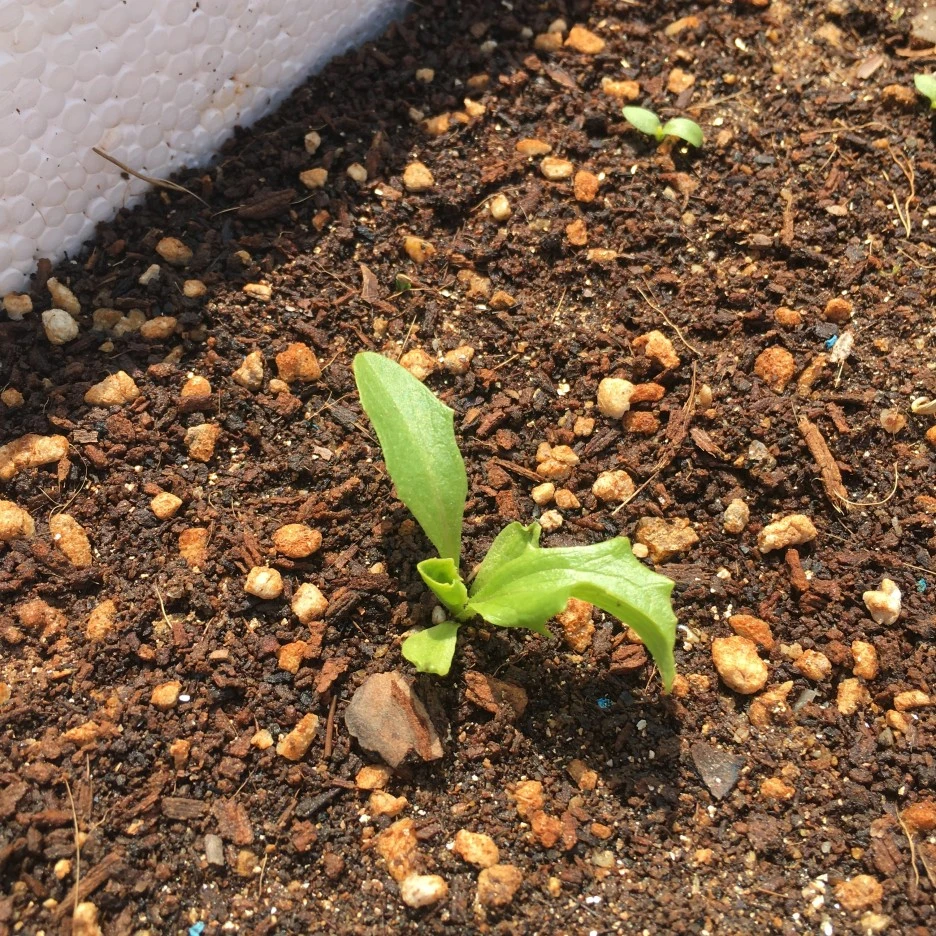 20210415_1087.JPG?type=w1