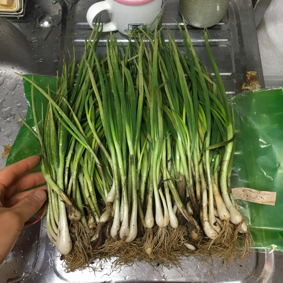 20210416_1116.JPG?type=w1