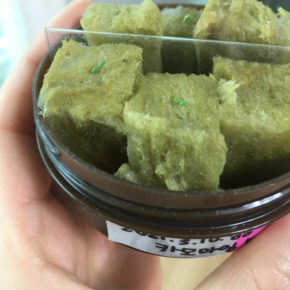 20210320_0235.JPG?type=w1