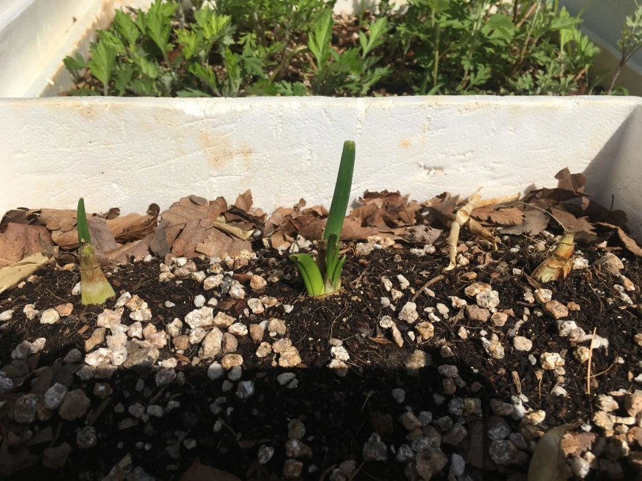 IMG_0999.JPG?type=w1