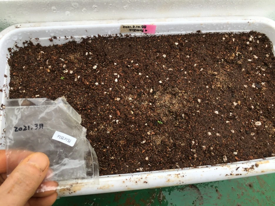 20210402_0504.JPG?type=w1