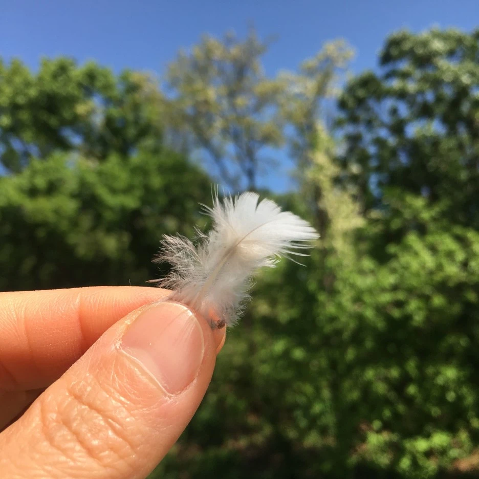 IMG_1014.JPG?type=w1