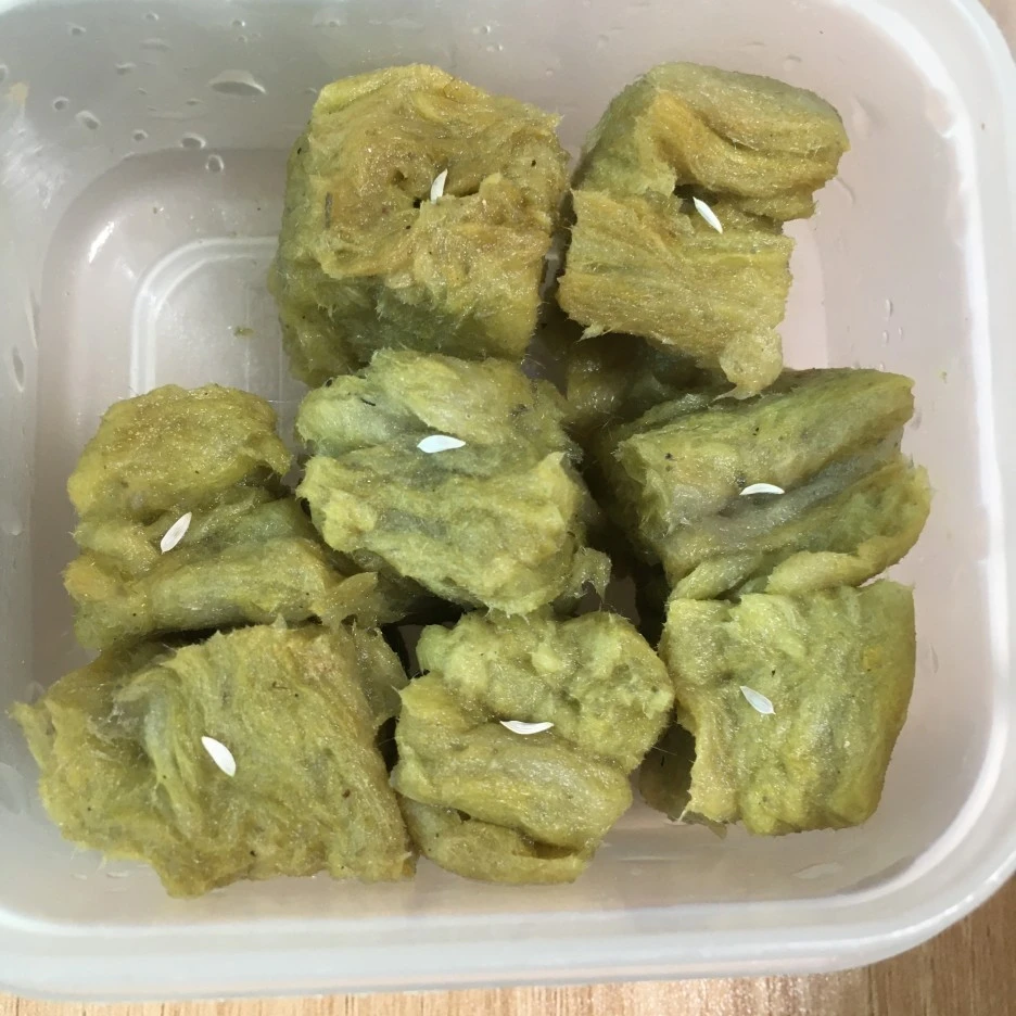 20210403_0530.JPG?type=w1