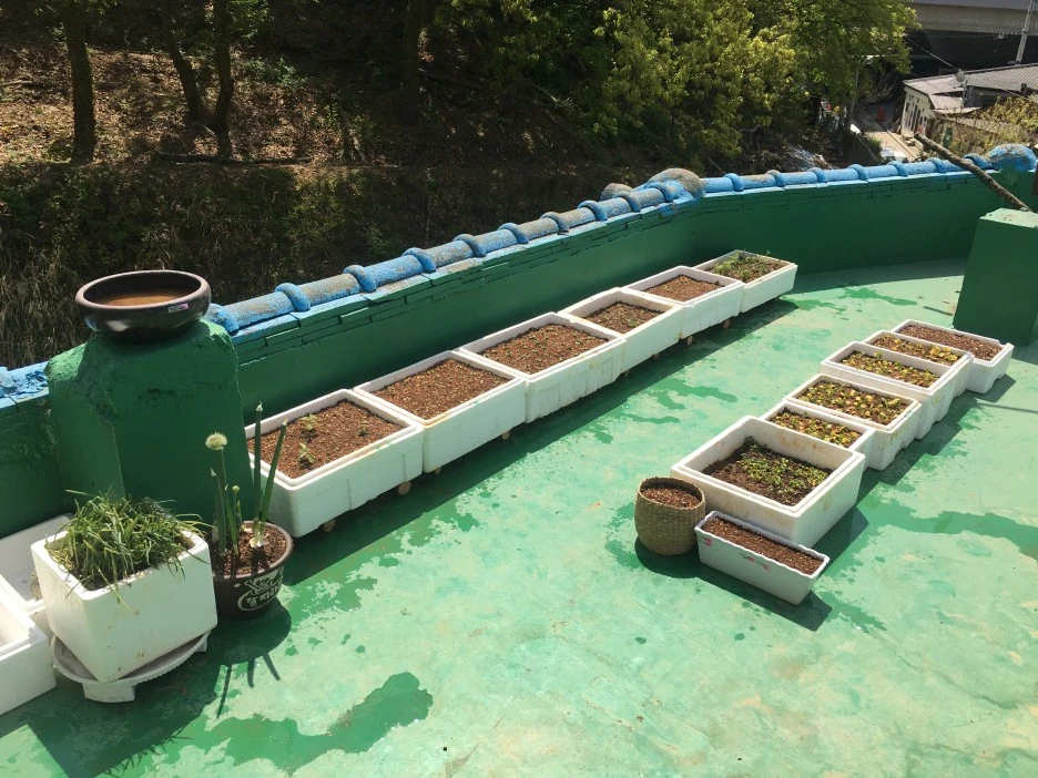 20210418_2831.JPG?type=w1