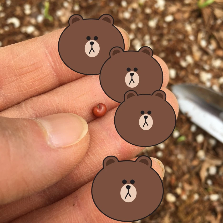 SE-1d295ae3-6677-42a6-8866-face9e7b47c3.jpg?type=w1