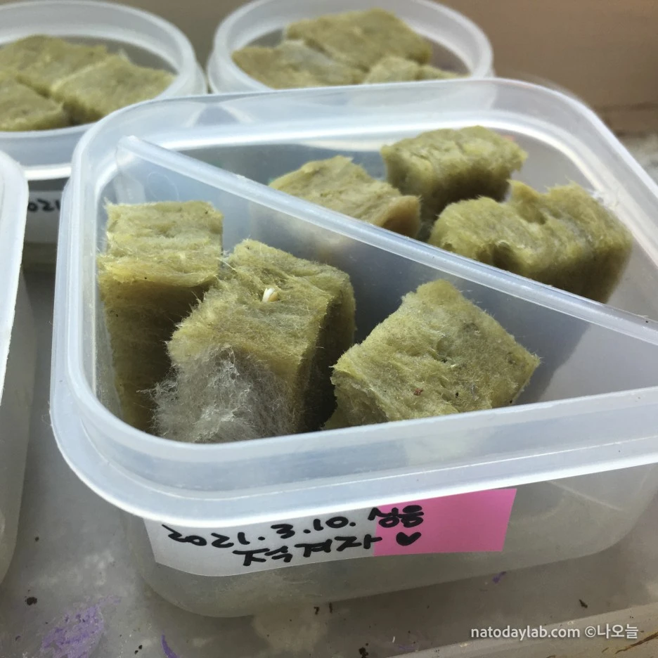 20210315-.jpg?type=w1