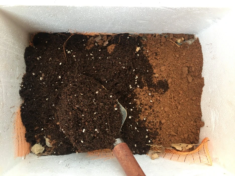 20210325_0306.JPG?type=w1