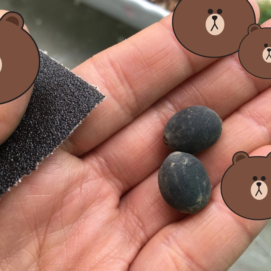 SE-2c9b5452-1d60-4676-bab2-92de05acccb1.jpg?type=w1