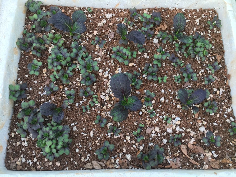 20210511_1408.JPG?type=w1