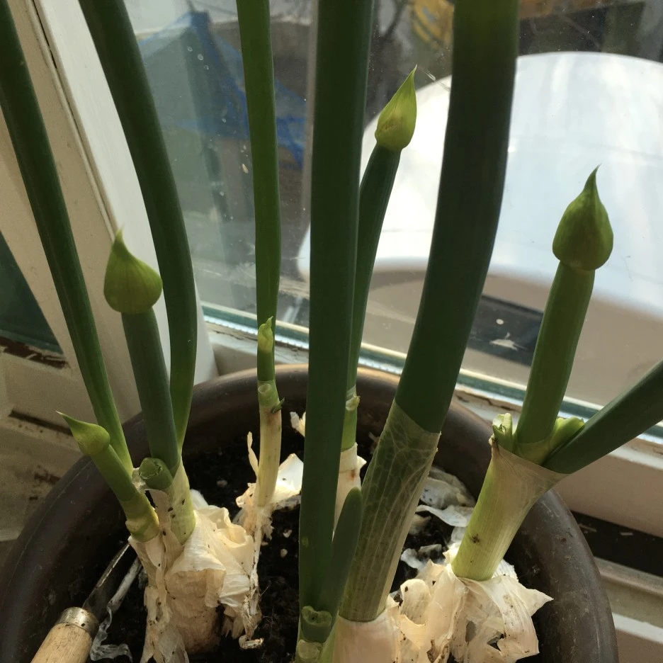 20210325_0328.JPG?type=w1