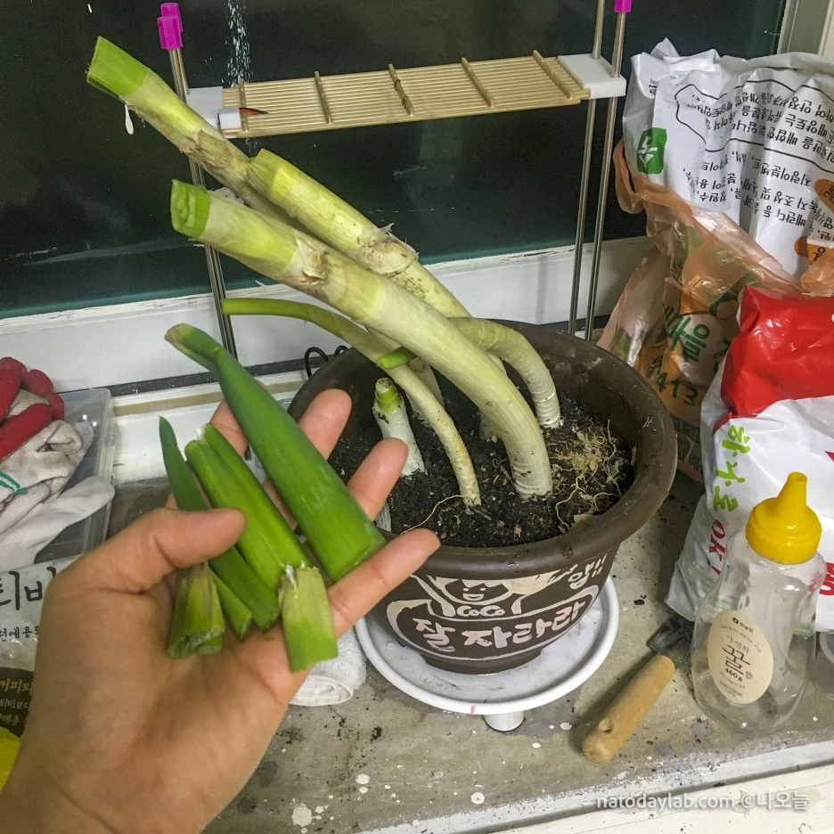 20210211--7.jpg?type=w1