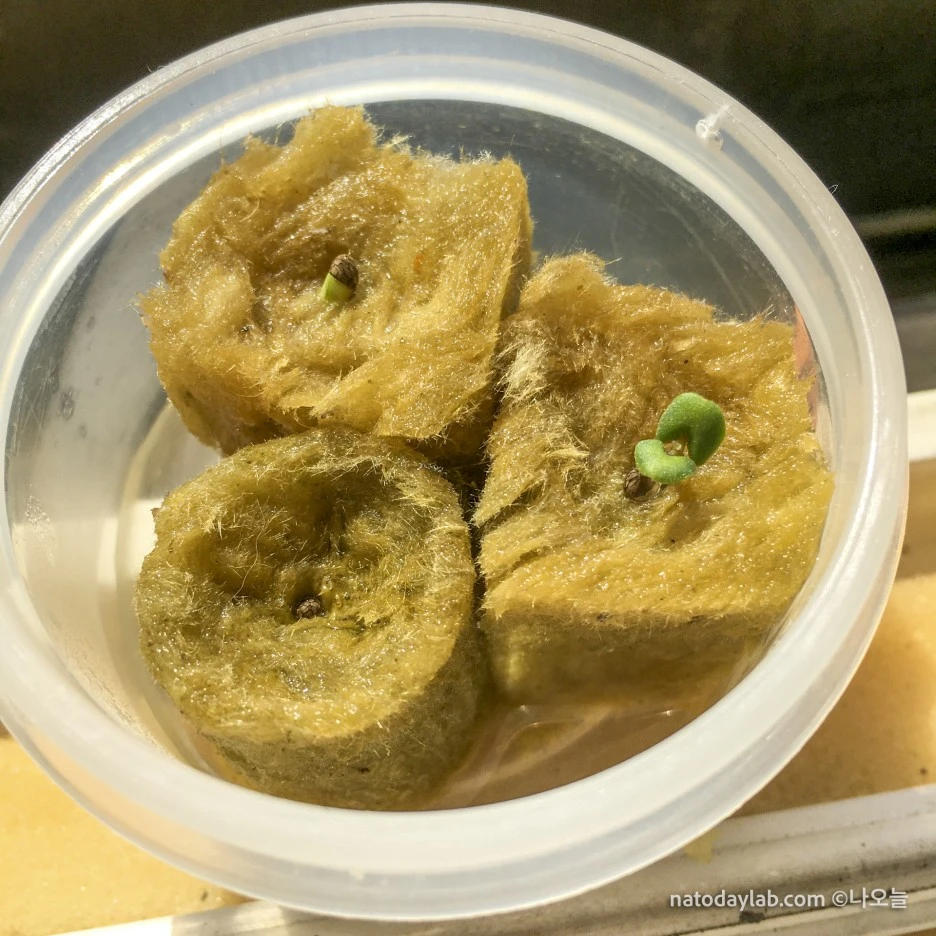 20210302--5.jpg?type=w1