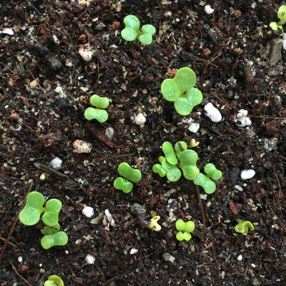 20210328_0379.JPG?type=w1