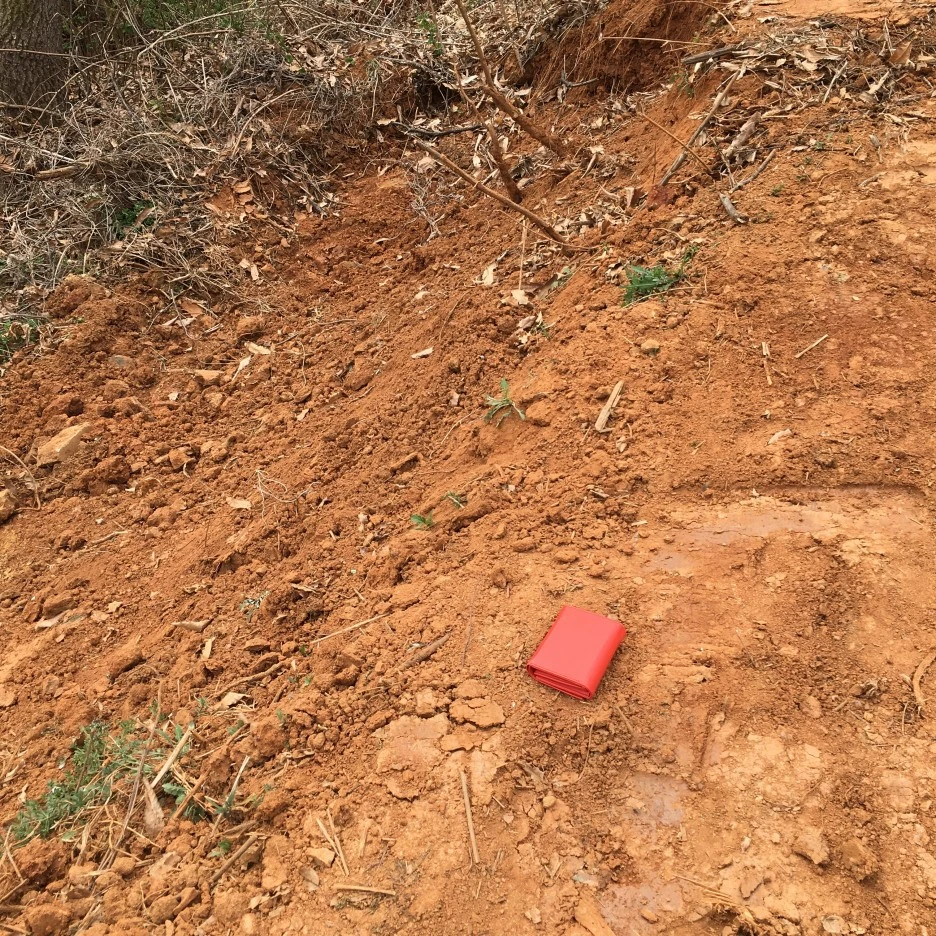 20210402_0490.JPG?type=w1