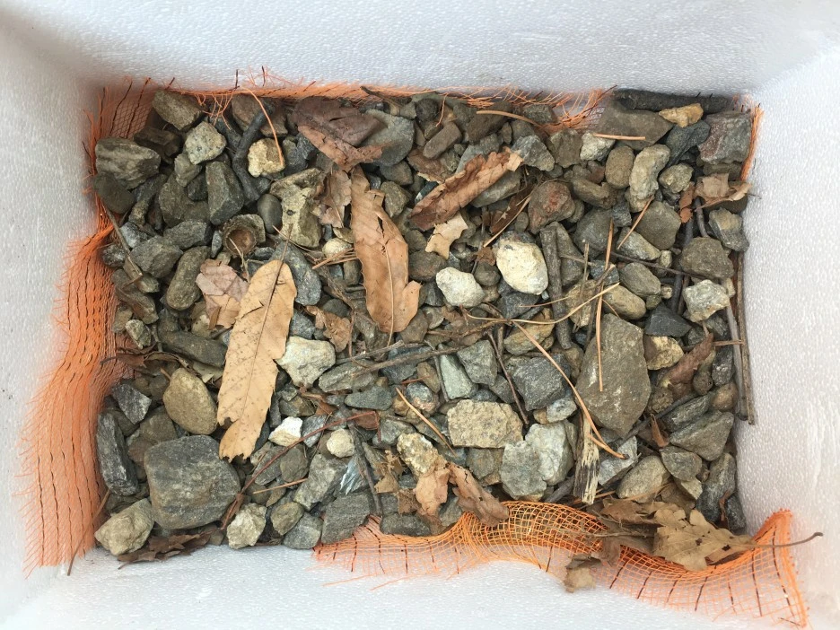 20210325_0305.JPG?type=w1