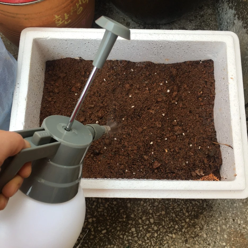 20210325_0307.JPG?type=w1