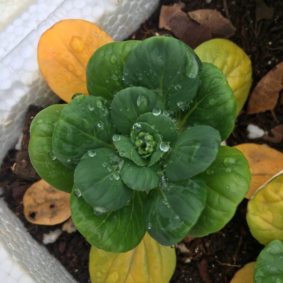 20210517_1590.JPG?type=w1