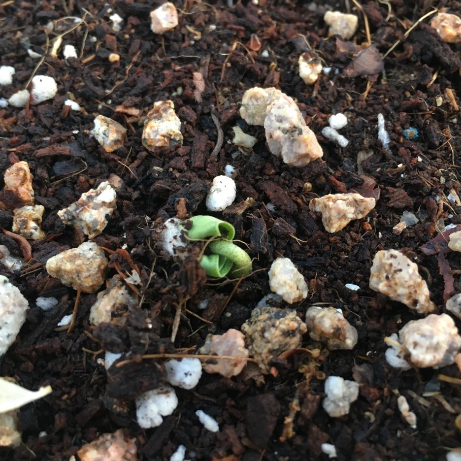 20210512_1433.JPG?type=w1