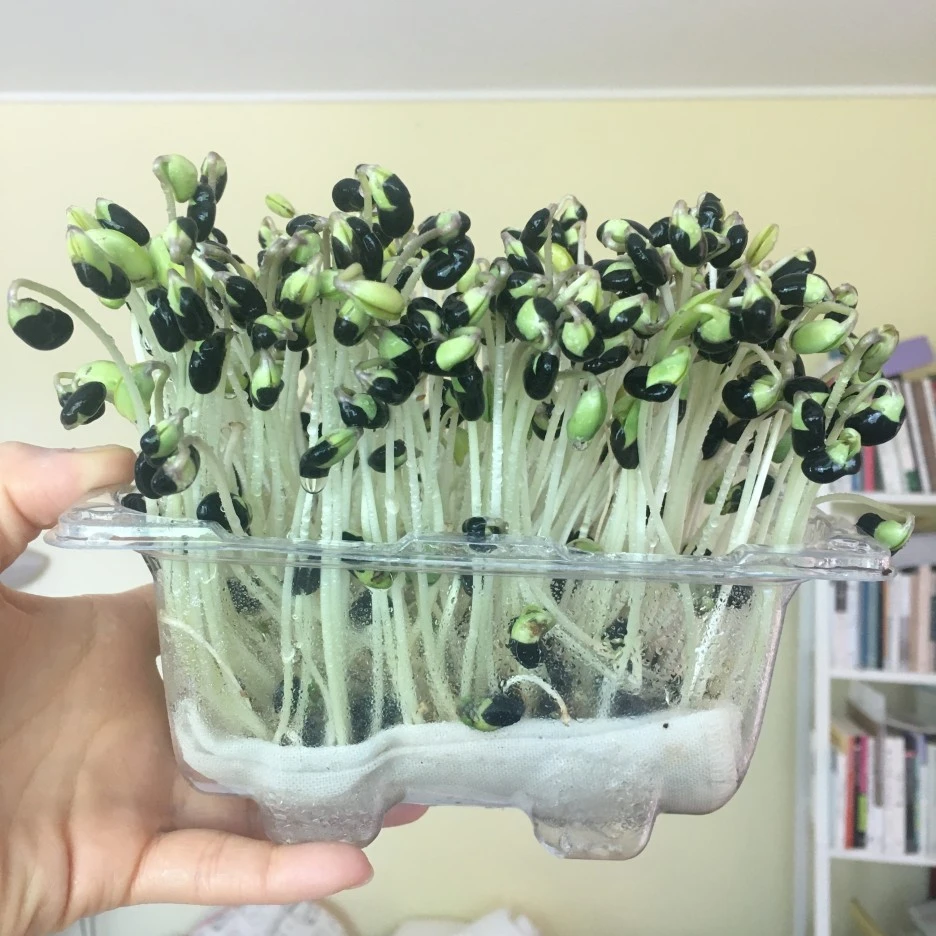 20210422_0928.JPG?type=w1