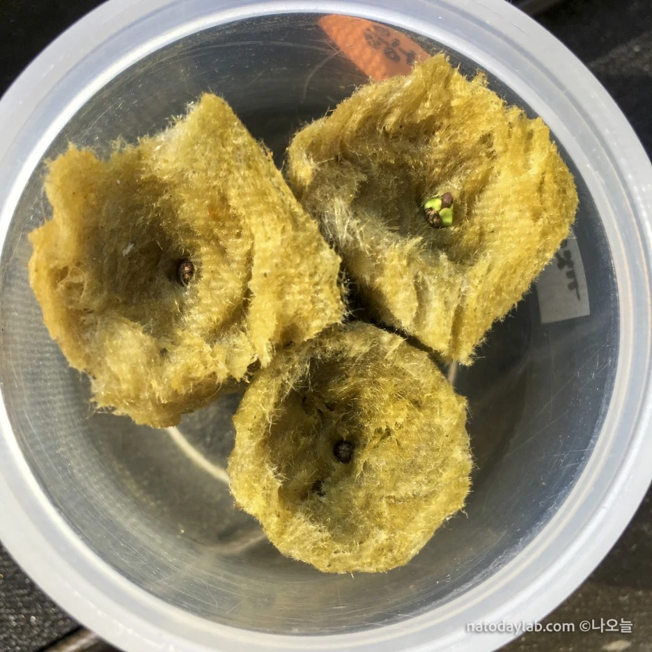 20210228-.jpg?type=w1