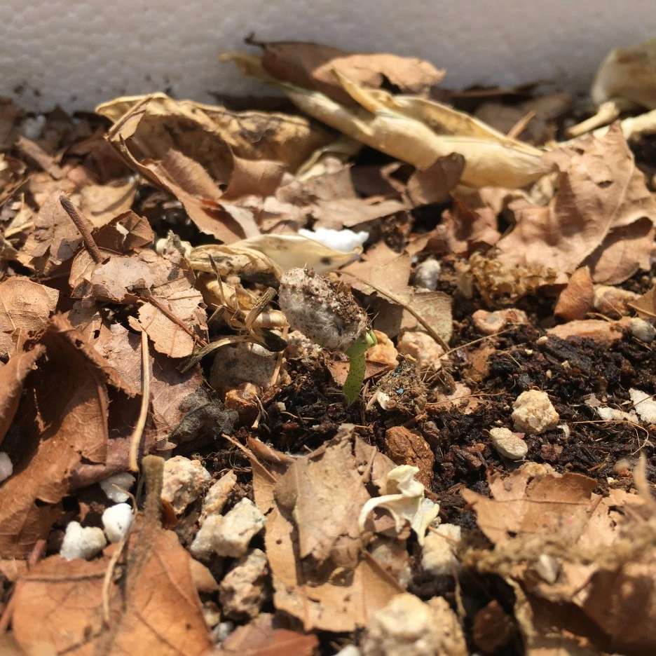 20210514_1517.JPG?type=w1