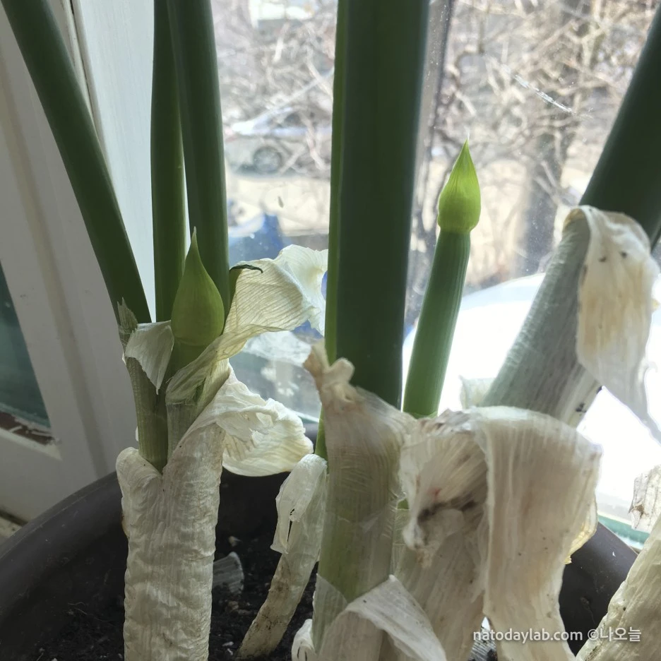 20210319-.jpg?type=w1