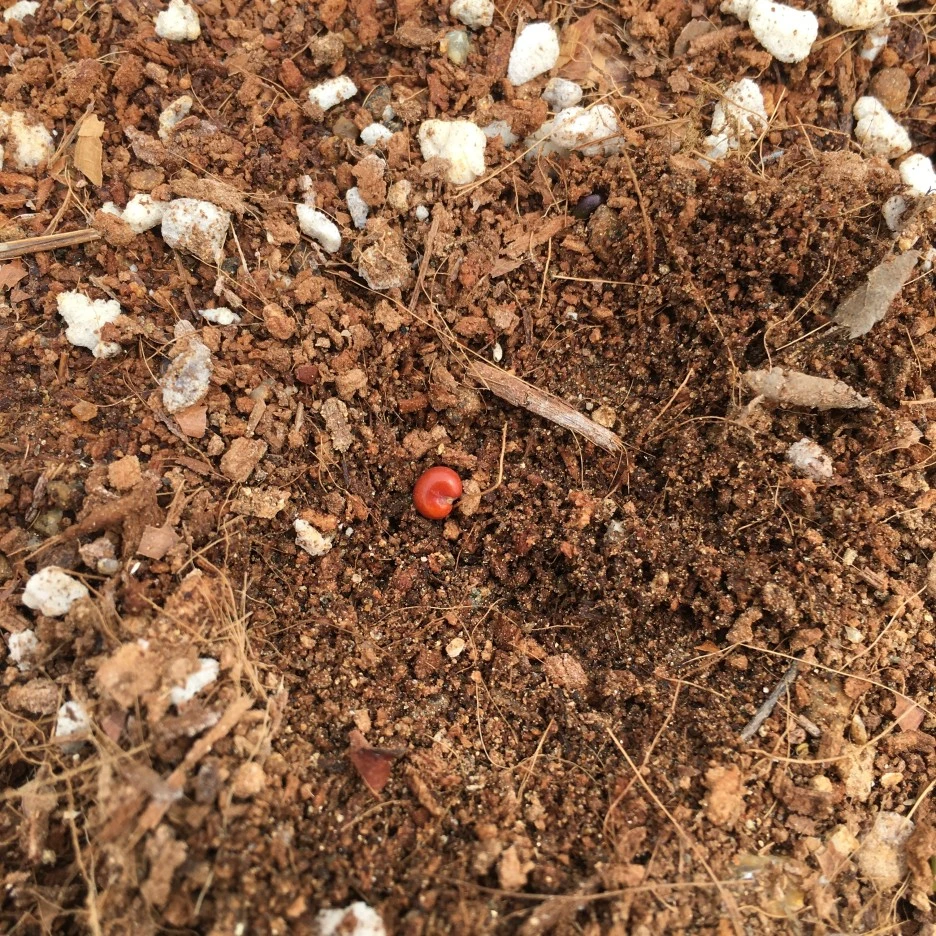 20210428_1143.JPG?type=w1