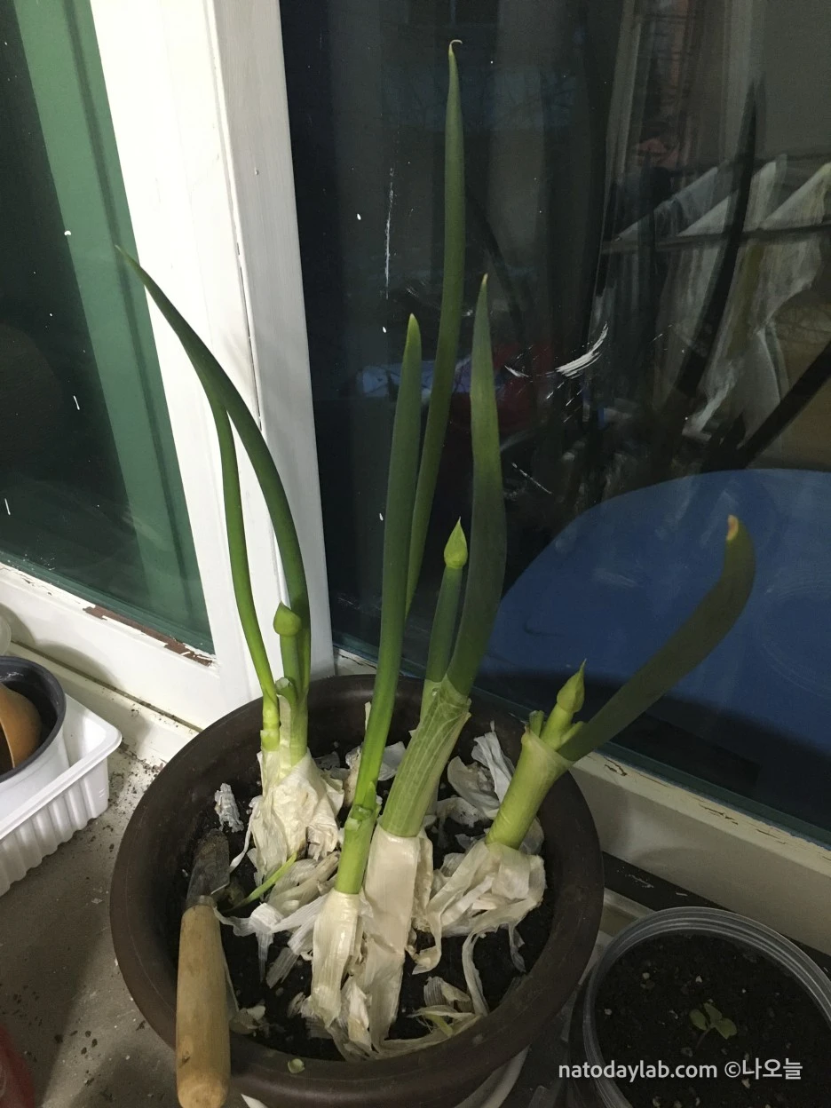 20210321--%EB%82%A0%EC%A7%9C-26.jpg?type=w1