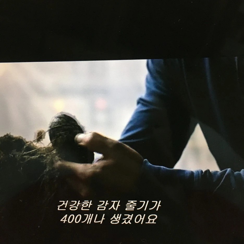 20210413_1022.JPG?type=w1