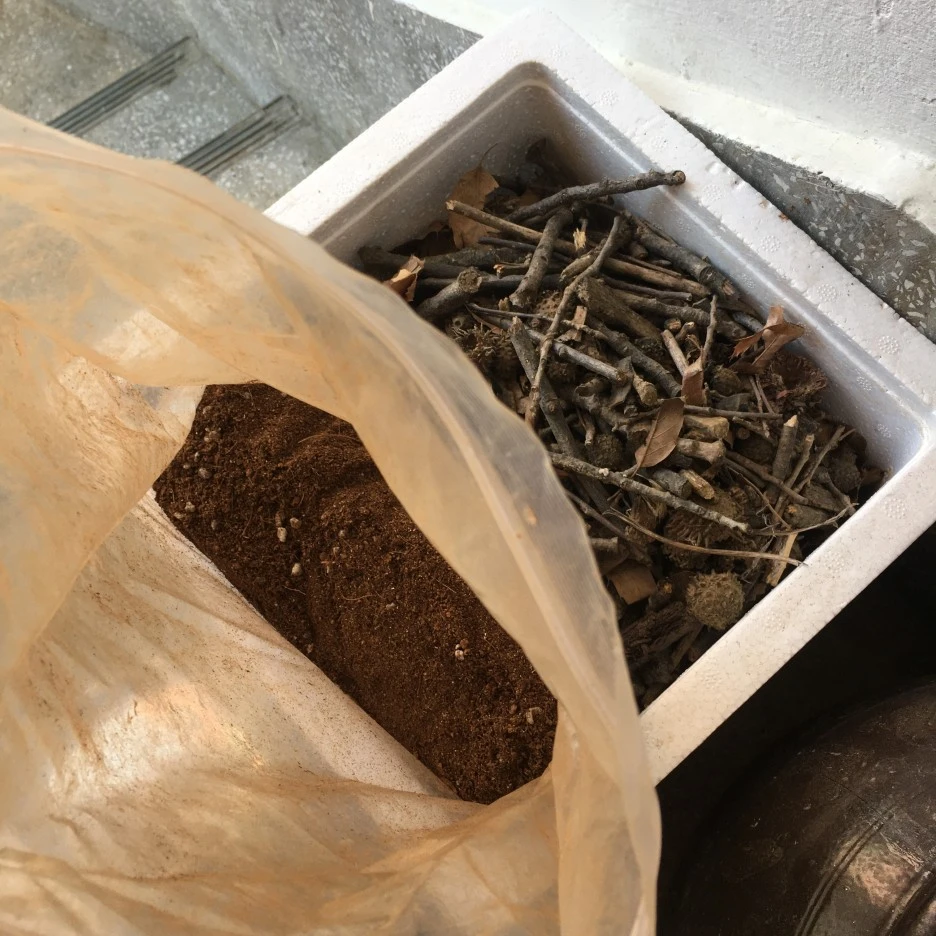 20210414_1053.JPG?type=w1