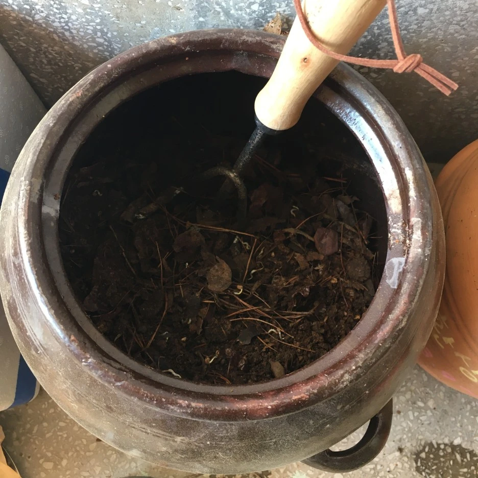 20210414_1058.JPG?type=w1